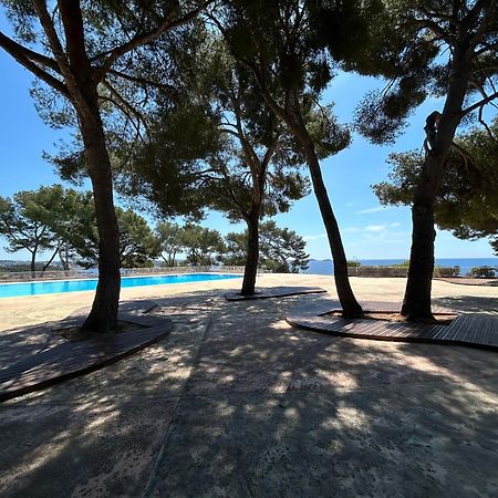Horizon Bleu Bandol : Appartement Pieds Dans L'Eau מראה חיצוני תמונה