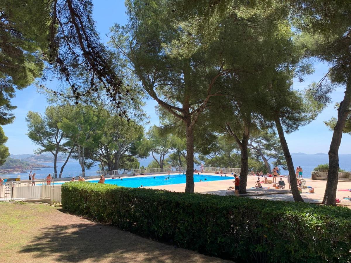 Horizon Bleu Bandol : Appartement Pieds Dans L'Eau מראה חיצוני תמונה