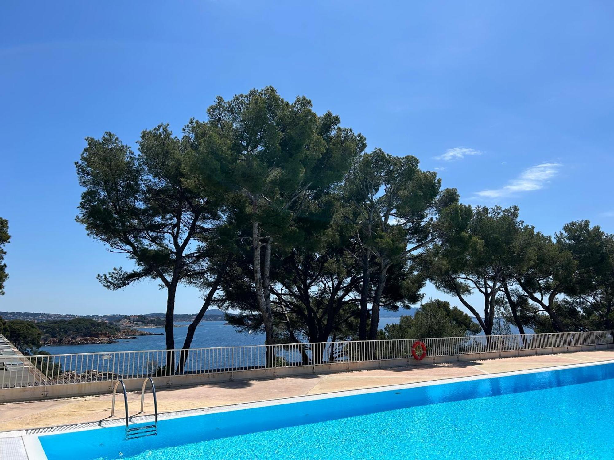 Horizon Bleu Bandol : Appartement Pieds Dans L'Eau מראה חיצוני תמונה